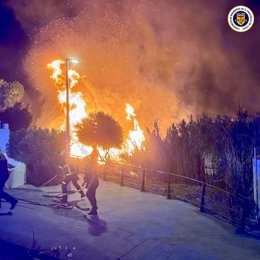 Cañaveral ardiendo en Algeciras (Cádiz)