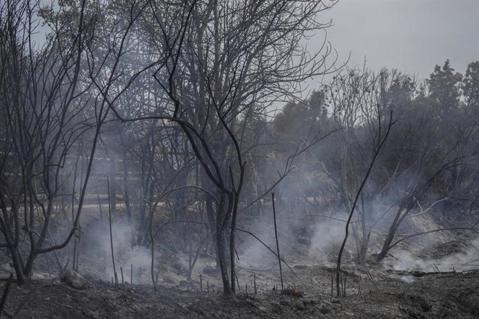 Archivo - Restos del incendio de Paüls en Aldover (Tarragona)