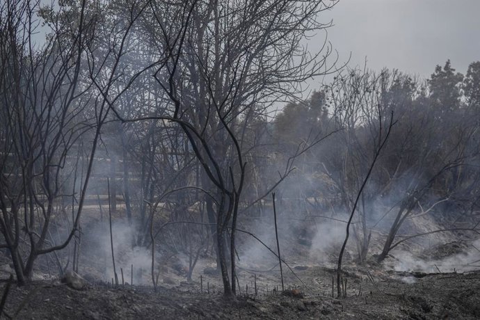 Archivo - Arxivo - Restes de l'incendi de Paüls a Aldover (Tarragona)