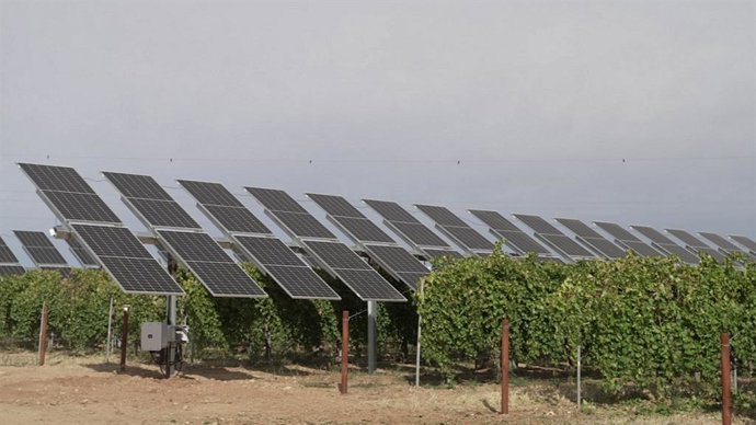 Proyecto Wine Solar de Iberdrola