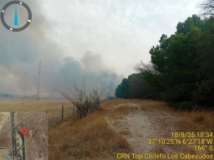 Imagen del incendio declarado este lunes en Hinojos (Huelva).