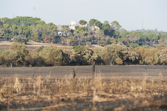 Vista das áreas mais afetadas pelo incêndio declarado na última segunda-feira, 11 de agosto, em Tres Cantos, em 14 de agosto de 2025, em Tres Cantos, Madri (Espanha). O incêndio deixou uma pessoa morta, uma grande área de terra arrasada, danos a residênci