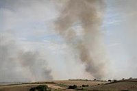 Miembros de PETA protestarán este jueves ante la sede de la Comunidad para decirle a Ayuso que "bomberos sí, toreros no"