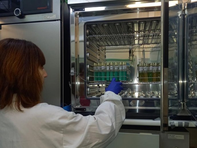 Laboratorio de Salud Pública de Aragón.