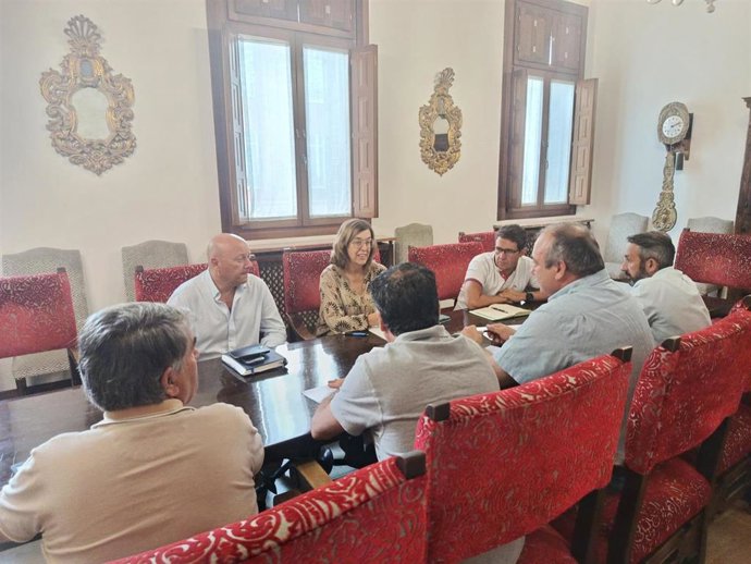 Un momento de la reunión entre Diputación y representantes de las OPAS