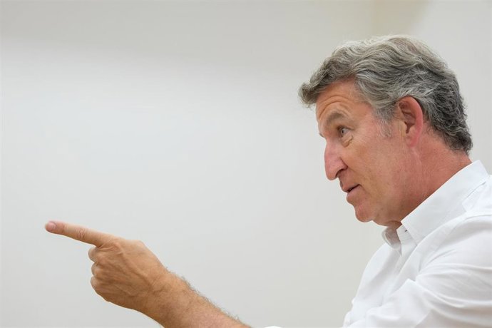 El presidente del Partido Popular, Alberto Núñez Feijóo, durante una entrevista para Europa Press,