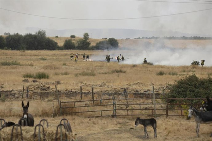Varios bomberos tratan de extinguir un fuego 