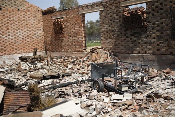Vista tras el paso del fuego, a 14 de agosto de 2025, en Ayoo, Zamora.