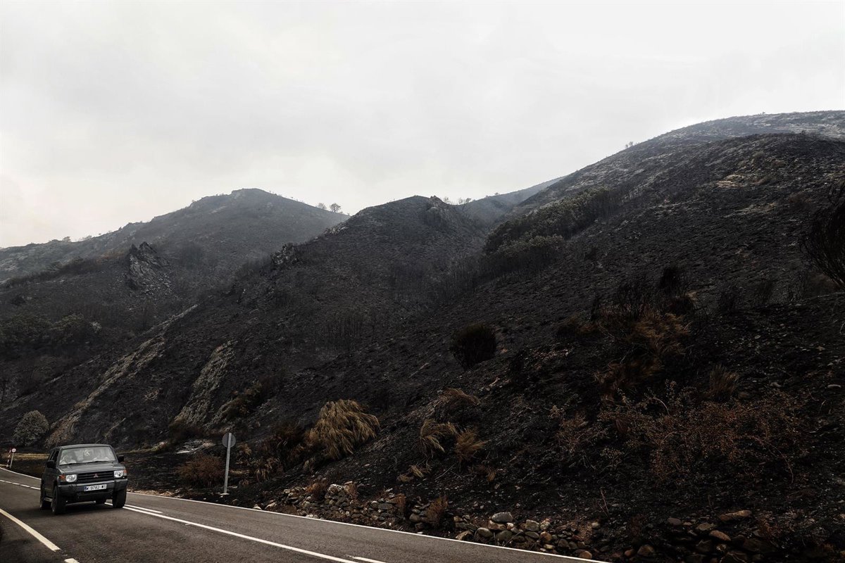 DGT pide evitar circular por zonas afectadas por incendios con 12 carreteras cortadas, la mayoría en CyL