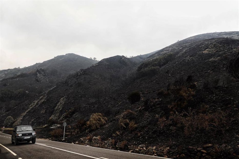 Campo quemado por el incendio en el entorno de los Picos de Europa,.