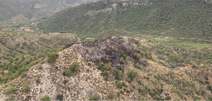 Imagen de la superficie afectada por el fuego en la Sierra del Oro, en Abarán