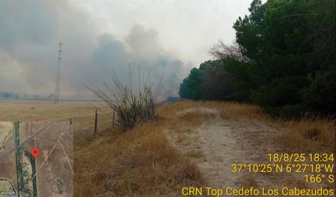 Imagen del incendio en un paraje de Hinojos.