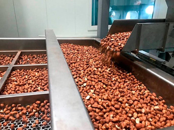 Inspección de alimentos