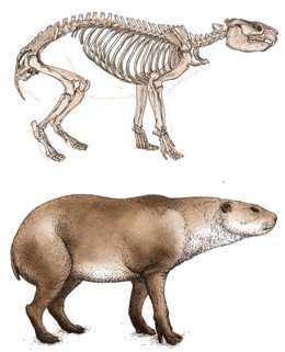 Paleorreconstrucción de un mesoterio, ungulado nativo sudamericano.