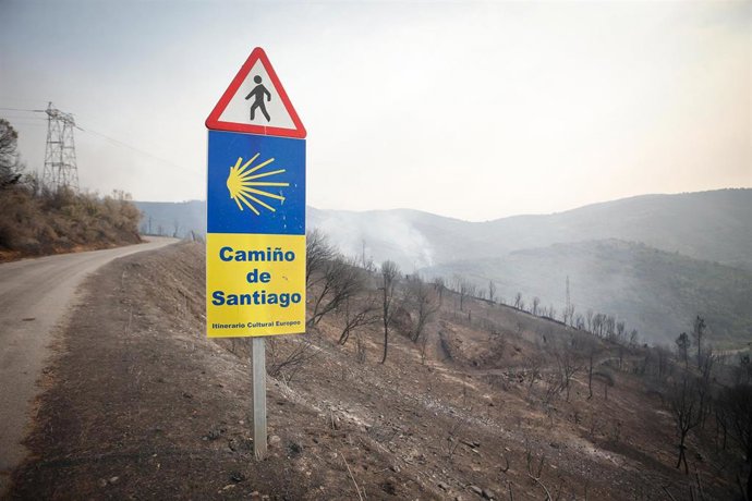 Zona calcinada tras el paso del incendio forestal, a 17 de agosto de 2025, en Quiroga, Lugo, Galicia (España).