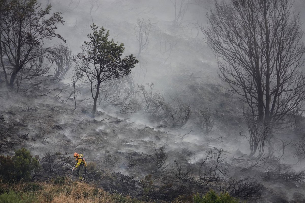Sirera (PP) pide enviar a bomberos de Barcelona a combatir los incendios que azotan a la Península