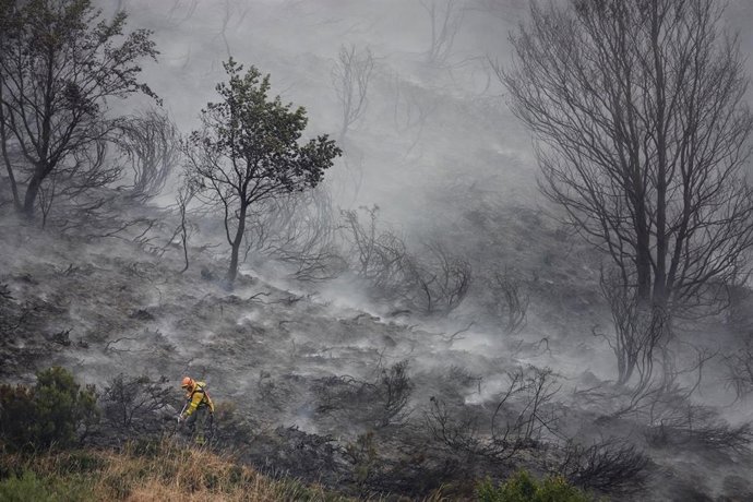 Una persona trata de extinguir un fuego, a 19 de agosto de 2025, en el Puerto de San Glorio, León, Castilla y León (España)
