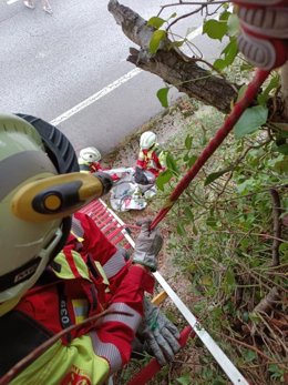 Bomberos rescatan un perro atrapado entre zarzas junto a una carretera en Laredo