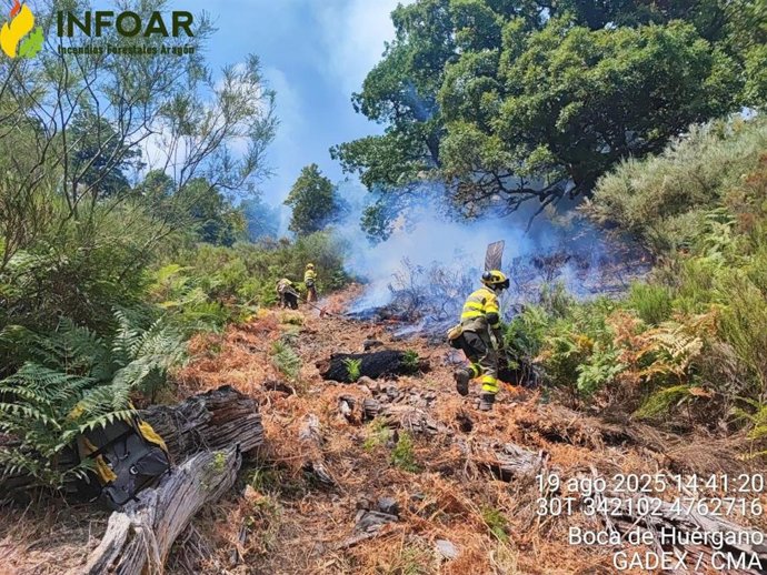 El operativo INFOAR del Gobierno de Aragón combate el incendio declarado en Boca de Huérgano (León)