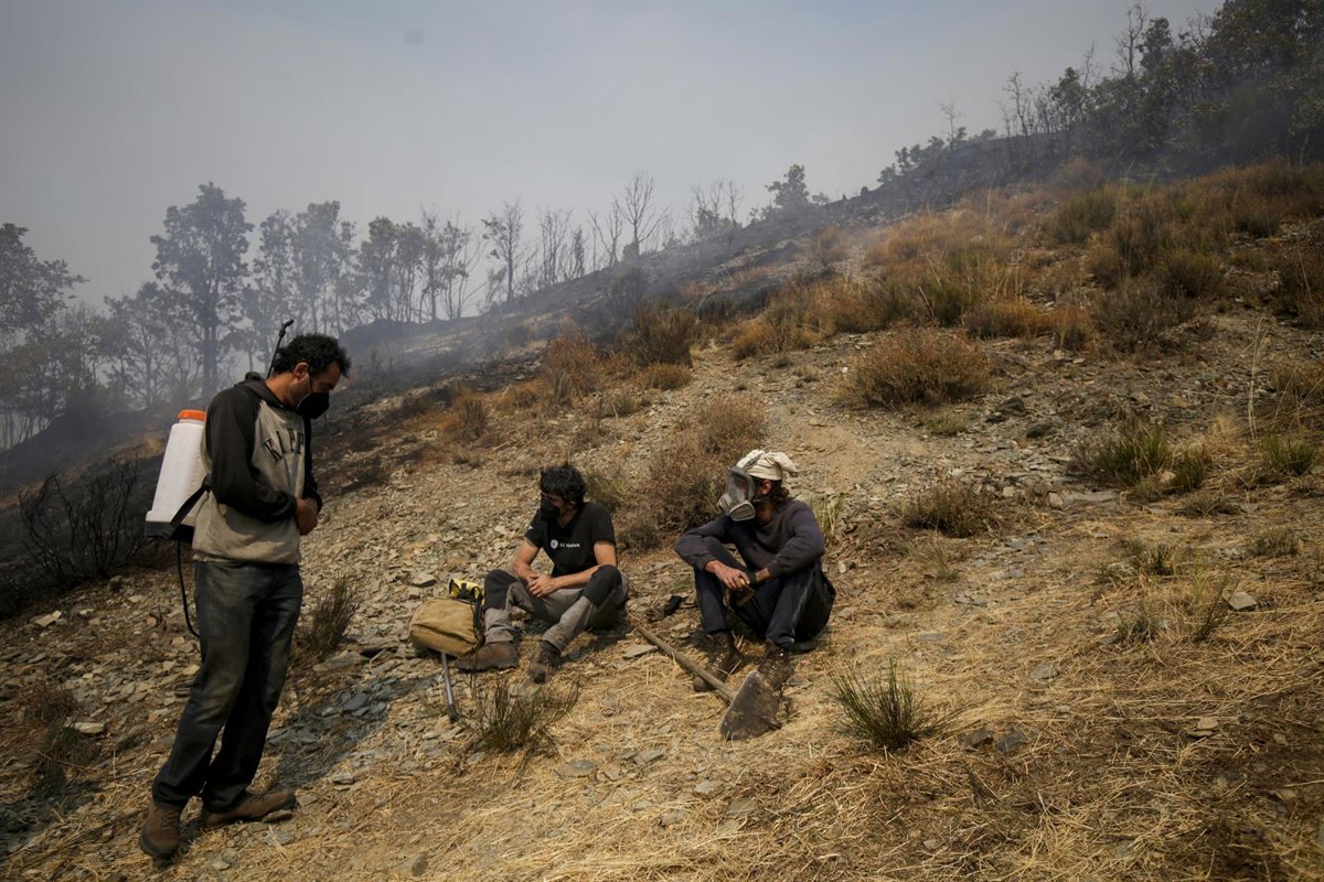 Controlados los tres incendios de León y el de Palencia en cuya extinción colabora Cantabria