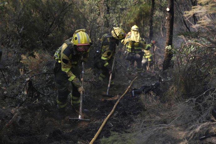 Operativo en labores de remate en Palacios de Compludo.