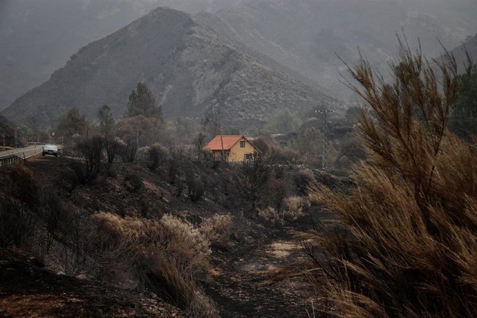 Campo quemado por el incendio en el entorno de los Picos de Europa, a 19 de agosto de 2025, en Tierra de la Riena, León, Castilla y León (España)