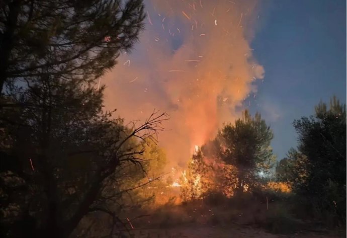 Detenido el presunto autor de los tres conatos de incendio sofocados este martes en Arganda