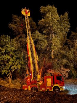 Bomberos de la Diputación de Teruel retiran un nido de avispa asiática en Alcañiz