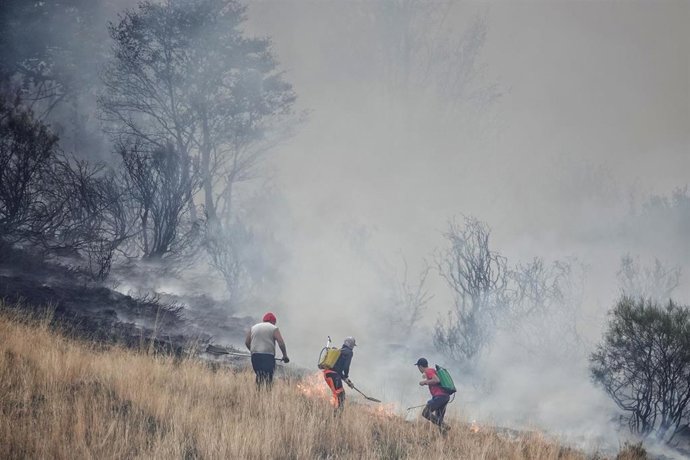 Varias personas tratan de extinguir un fuego, a 19 de agosto de 2025, en el Puerto de San Glorio, León, Castilla y León (España).