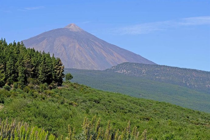 Coordinan un dispositivo de seguridad frente a las aglomeraciones en miradores de la Corona Forestal de Tenerife