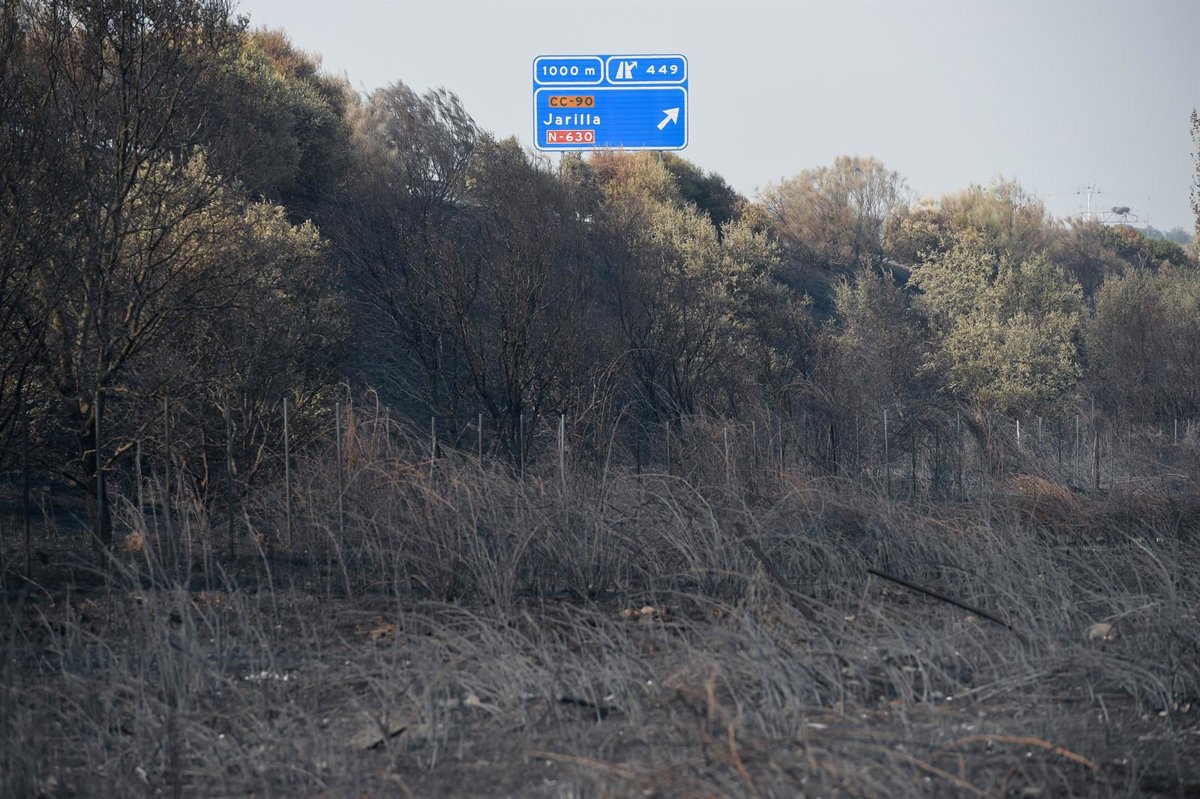 El viento dificultará la extinción en Jarilla y La Garganta está en  preaviso  por si tuviera que ser evacuada