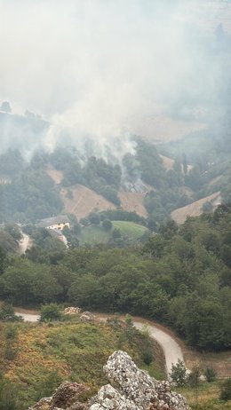 Incendio próximo a viviendas en Cangas del Narcea.