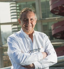 José Luis Manzanares Japón