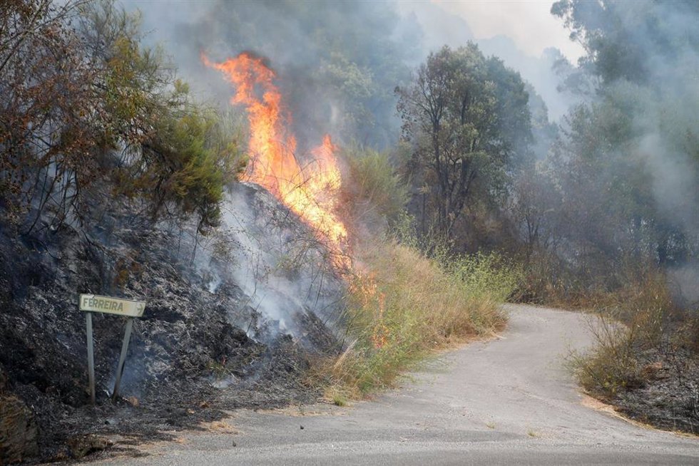 Incendio forestal