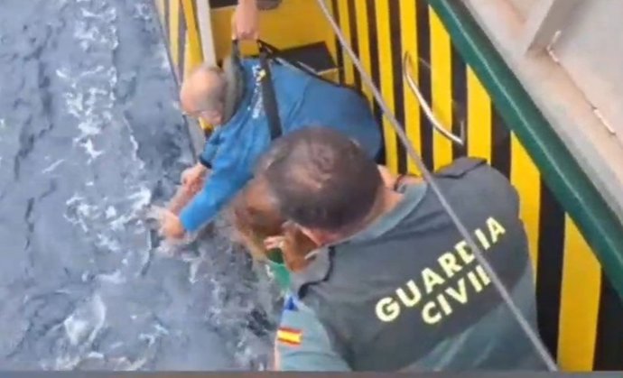 Una tortuga devuelta al mar