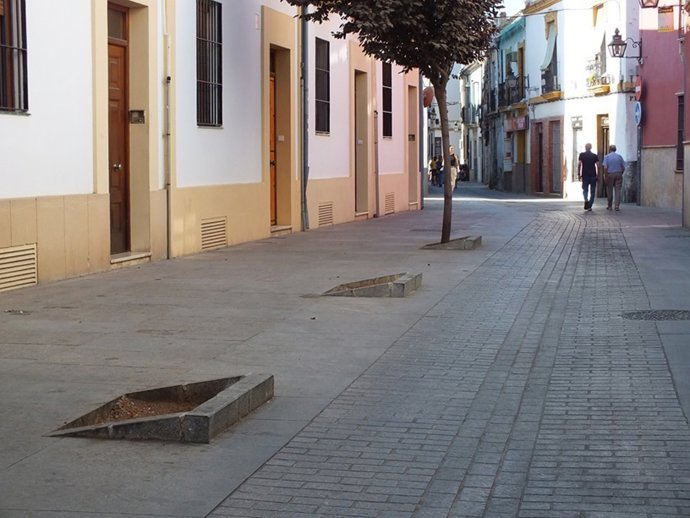 Alcorques vacíos en la calle Gutiérrez de los Ríos.
