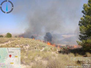 Zona afectada por el incendio.