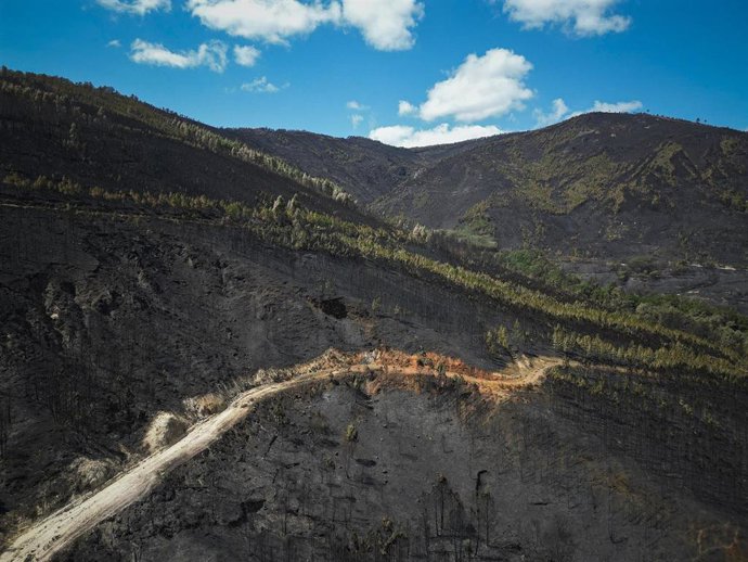 Vista aérea tras el incendio, a 20 de agosto de 2025, en Laza, Ourense, Galicia (España). 
