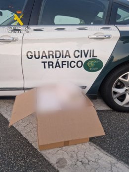 Imagen de la caja de cartón intervenida que contiene 500 cajetillas de tabaco de contrabando.