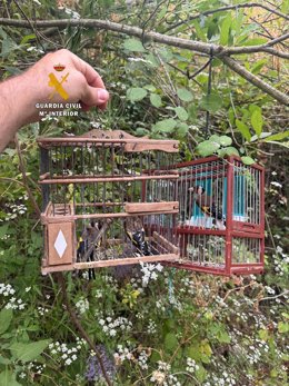 La Guardia Civil investiga a dos personas por la captura ilegal de aves fringílidas