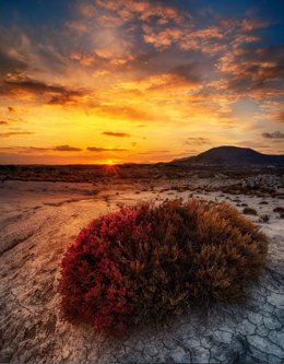 Una de las fotografías ganadoras en el concurso celebrado en 2024, realizada en el desierto de Mahoya (Abanilla)