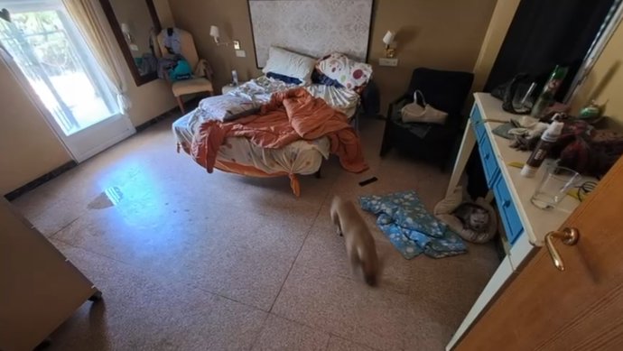 Una imagen de una dependencia de la vivienda