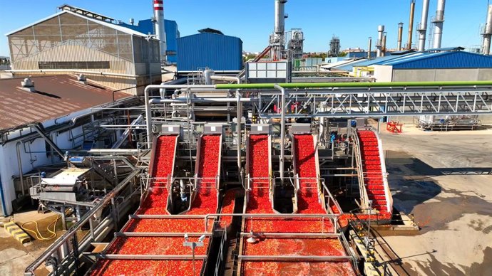 Industria de tomate