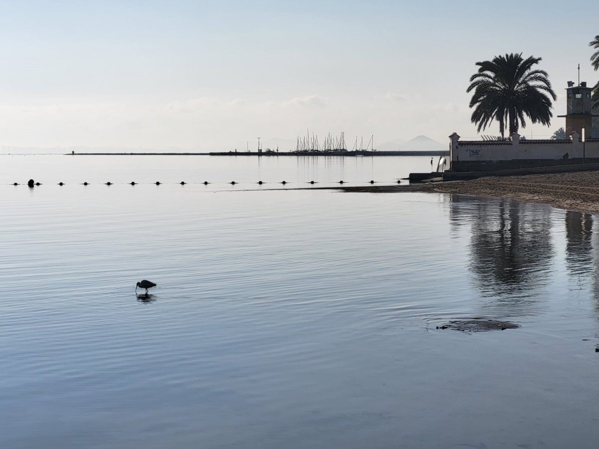 El Mar Menor mantiene su  estabilidad  en agosto con parámetros  dentro de la normalidad 