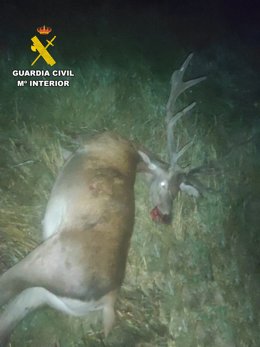 Vídeo de la noticia