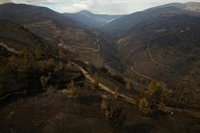 Yolanda Díaz pide una política "estable e integrada" contra el fuego y el fin de la "precariedad" de los profesionales