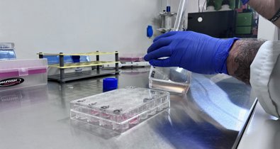 Es Andalucía - Córdoba