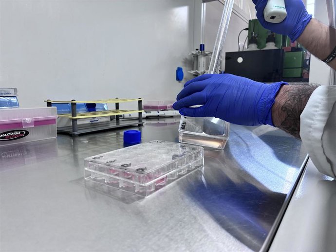 Laboratorio de la Unidad de Terapia Celular del Hospital Reina Sofía de Córdoba.