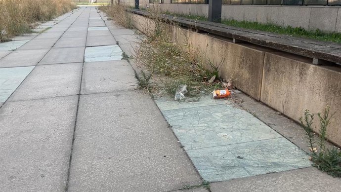 PSOE acusa a PP y Vox de "desmantelar" el Servicio de Parques y Jardines de Valladolid con la "supresión" de 19 plazas