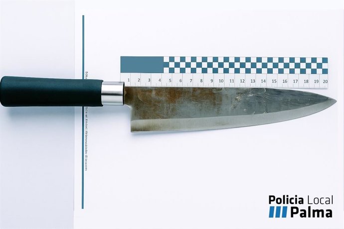 Una discusión familiar por dinero acaba dos hermanos detenidos en Palma.